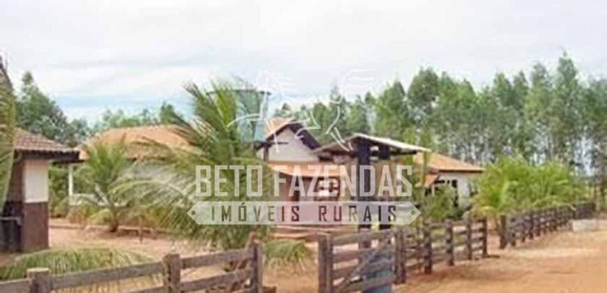 Fazenda Gigante à Venda 89.000 hectares | Porto Alegre do Norte/ MT