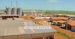 Fazenda Gigante à Venda 89.000 hectares | Porto Alegre do Norte/ MT