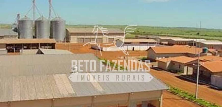 Fazenda Gigante à Venda 89.000 hectares | Porto Alegre do Norte/ MT