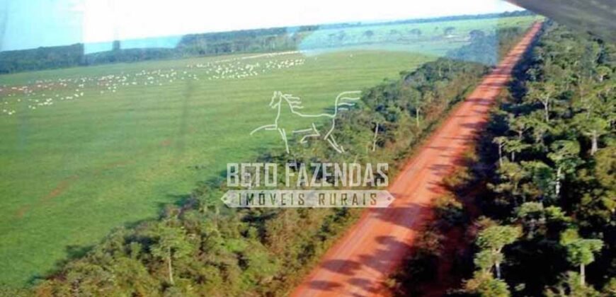 Fazenda Gigante à Venda 89.000 hectares | Porto Alegre do Norte/ MT