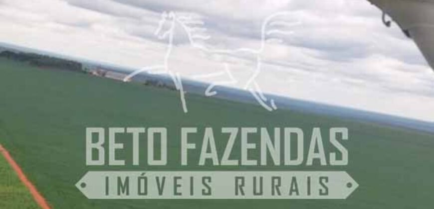 Fazenda Gigante à Venda 89.000 hectares | Porto Alegre do Norte/ MT