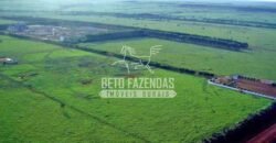 Fazenda Gigante à Venda 89.000 hectares | Porto Alegre do Norte/ MT