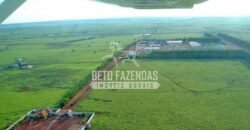 Fazenda Gigante à Venda 89.000 hectares | Porto Alegre do Norte/ MT