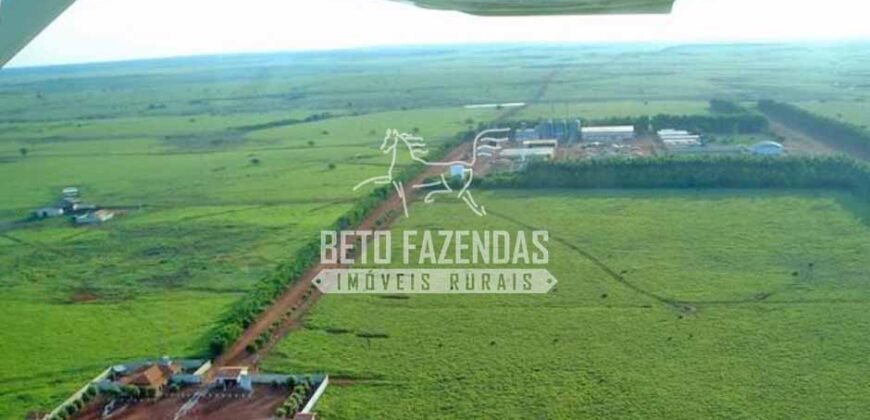 Fazenda Gigante à Venda 89.000 hectares | Porto Alegre do Norte/ MT