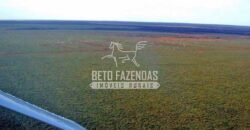 Fazenda Gigante à Venda 89.000 hectares | Porto Alegre do Norte/ MT