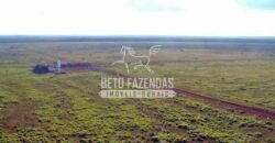 Fazenda Gigante à Venda 89.000 hectares | Porto Alegre do Norte/ MT