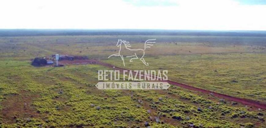 Fazenda Gigante à Venda 89.000 hectares | Porto Alegre do Norte/ MT