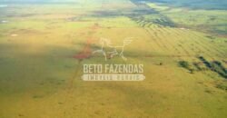 Fazenda Gigante à Venda 89.000 hectares | Porto Alegre do Norte/ MT