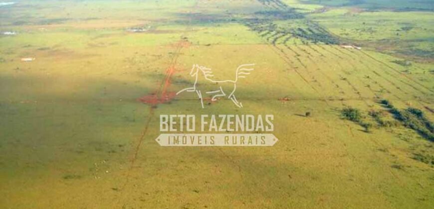 Fazenda Gigante à Venda 89.000 hectares | Porto Alegre do Norte/ MT