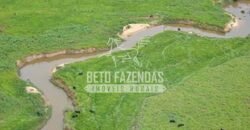 Fazenda Gigante à Venda 89.000 hectares | Porto Alegre do Norte/ MT