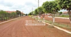 Fazenda Gigante à Venda 89.000 hectares | Porto Alegre do Norte/ MT