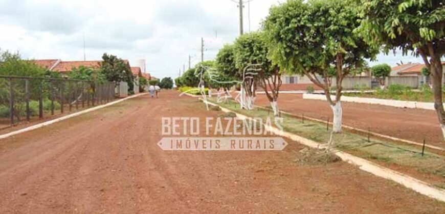 Fazenda Gigante à Venda 89.000 hectares | Porto Alegre do Norte/ MT