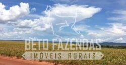 Fazenda Gigante à Venda 89.000 hectares | Porto Alegre do Norte/ MT