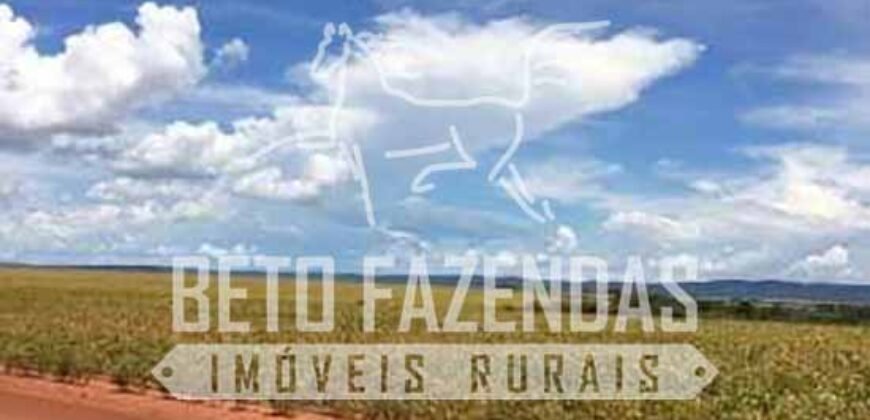 Fazenda Gigante à Venda 89.000 hectares | Porto Alegre do Norte/ MT