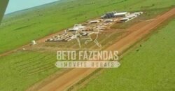 Fazenda Gigante à Venda 89.000 hectares | Porto Alegre do Norte/ MT