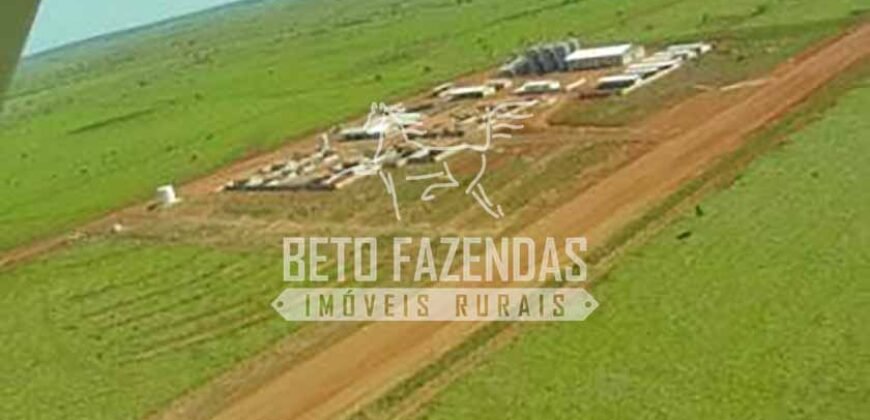 Fazenda Gigante à Venda 89.000 hectares | Porto Alegre do Norte/ MT