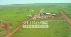 Fazenda Gigante à Venda 89.000 hectares | Porto Alegre do Norte/ MT