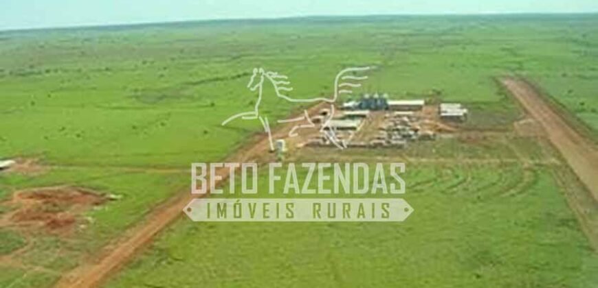 Fazenda Gigante à Venda 89.000 hectares | Porto Alegre do Norte/ MT