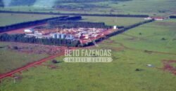 Fazenda Gigante à Venda 89.000 hectares | Porto Alegre do Norte/ MT