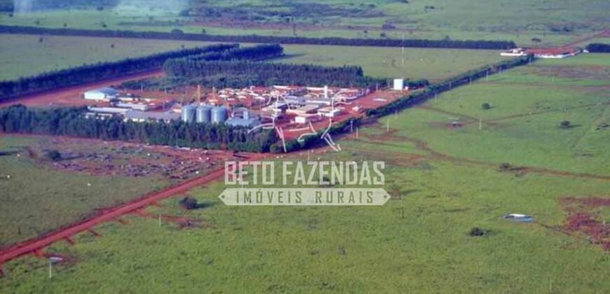 Fazenda Gigante à Venda 89.000 hectares | Porto Alegre do Norte/ MT