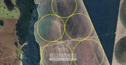 Fazenda à Venda 1.664,65 has Agrícola Extensa | Montes Claros de Goiás/GO Fazenda à Venda 1.664,65 has Agrícola Extensa | Montes Claros de Goiás/GO