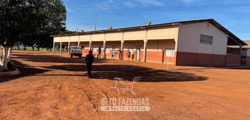 Fazenda Gigante à Venda 89.000 hectares | Porto Alegre do Norte/ MT