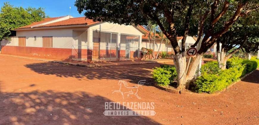 Fazenda Gigante à Venda 89.000 hectares | Porto Alegre do Norte/ MT