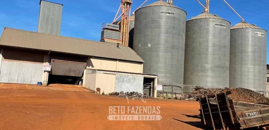 Fazenda Gigante à Venda 89.000 hectares | Porto Alegre do Norte/ MT
