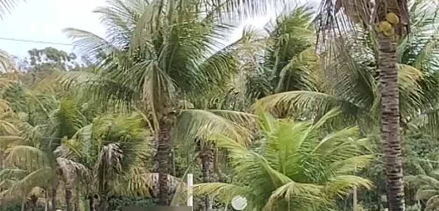 Sítio à Venda 37 mil m² 10 Qtos Ótimo Investimento | Macaé-RJ