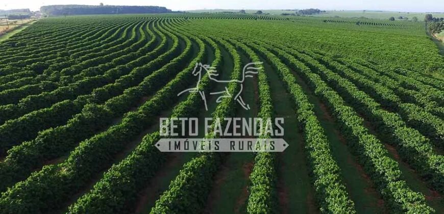 Fazenda de Café Certificada à Venda 408 hectares em Sul de Minas Gerais Fazenda de Café Certificada à Venda 408 hectares em Sul de Minas Gerais