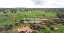 Fazenda à Venda 176.000 hectares Infraestrutura Completa | Aroazes/PI