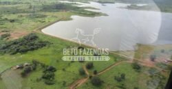 Fazenda à Venda 176.000 hectares Infraestrutura Completa | Aroazes/PI