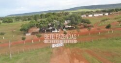Fazenda à Venda 176.000 hectares Infraestrutura Completa | Aroazes/PI