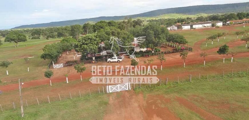 Fazenda à Venda 176.000 hectares Infraestrutura Completa | Aroazes/PI