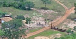 Fazenda à Venda 176.000 hectares Infraestrutura Completa | Aroazes/PI