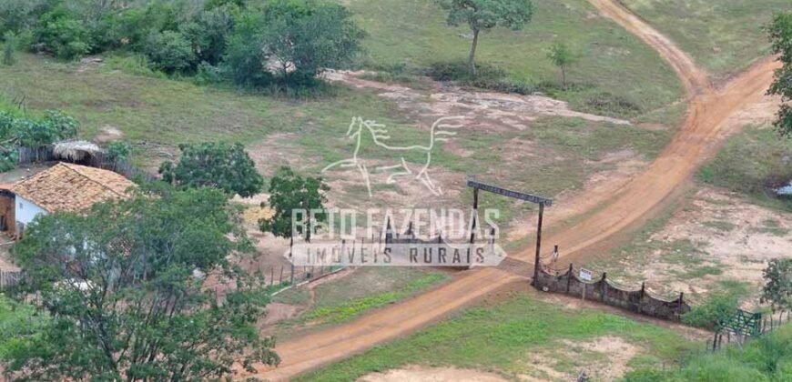 Fazenda à Venda 176.000 hectares Infraestrutura Completa | Aroazes/PI