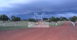 Fazenda à Venda 176.000 hectares Infraestrutura Completa | Aroazes/PI