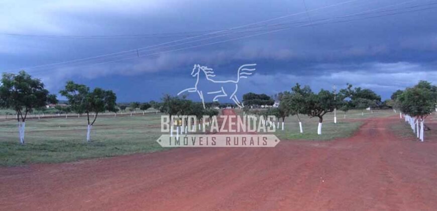 Fazenda à Venda 176.000 hectares Infraestrutura Completa | Aroazes/PI