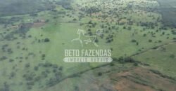 Fazenda à Venda 176.000 hectares Infraestrutura Completa | Aroazes/PI