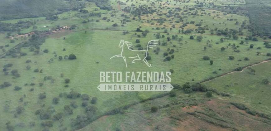 Fazenda à Venda 176.000 hectares Infraestrutura Completa | Aroazes/PI