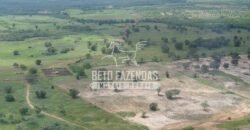Fazenda à Venda 176.000 hectares Infraestrutura Completa | Aroazes/PI