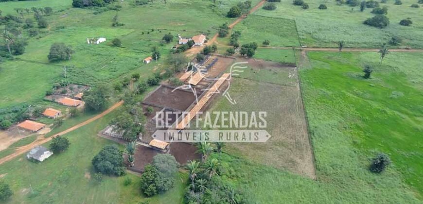 Fazenda à Venda 176.000 hectares Infraestrutura Completa | Aroazes/PI