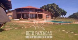 Fazenda à Venda 33.880 Hectares Infraestrutura Completa Linda Casa Sede | Cocalinho/ MT Fazenda à Venda 33.880 Hectares Infraestrutura Completa Linda Casa Sede | Cocalinho/ MT