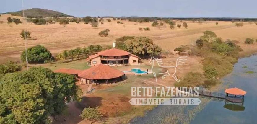 Fazenda à Venda 33.880 Hectares Infraestrutura Completa Linda Casa Sede | Cocalinho/ MT Fazenda à Venda 33.880 Hectares Infraestrutura Completa Linda Casa Sede | Cocalinho/ MT