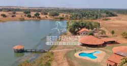 Fazenda à Venda 33.880 Hectares Infraestrutura Completa Linda Casa Sede | Cocalinho/ MT Fazenda à Venda 33.880 Hectares Infraestrutura Completa Linda Casa Sede | Cocalinho/ MT