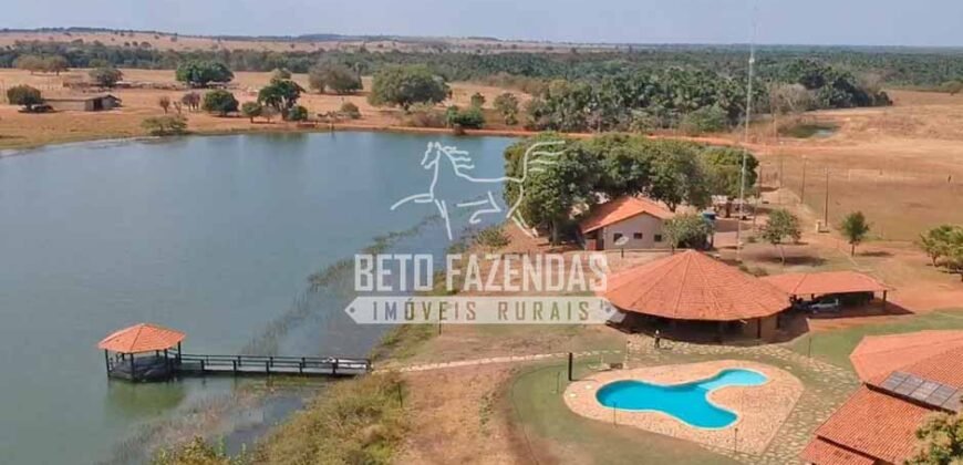 Fazenda à Venda 33.880 Hectares Infraestrutura Completa Linda Casa Sede | Cocalinho/ MT Fazenda à Venda 33.880 Hectares Infraestrutura Completa Linda Casa Sede | Cocalinho/ MT