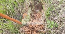 Fazenda à Venda 33.880 Hectares Infraestrutura Completa Linda Casa Sede | Cocalinho/ MT Fazenda à Venda 33.880 Hectares Infraestrutura Completa Linda Casa Sede | Cocalinho/ MT