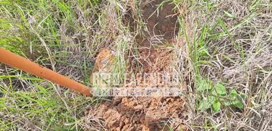 Fazenda à Venda 33.880 Hectares Infraestrutura Completa Linda Casa Sede | Cocalinho/ MT Fazenda à Venda 33.880 Hectares Infraestrutura Completa Linda Casa Sede | Cocalinho/ MT