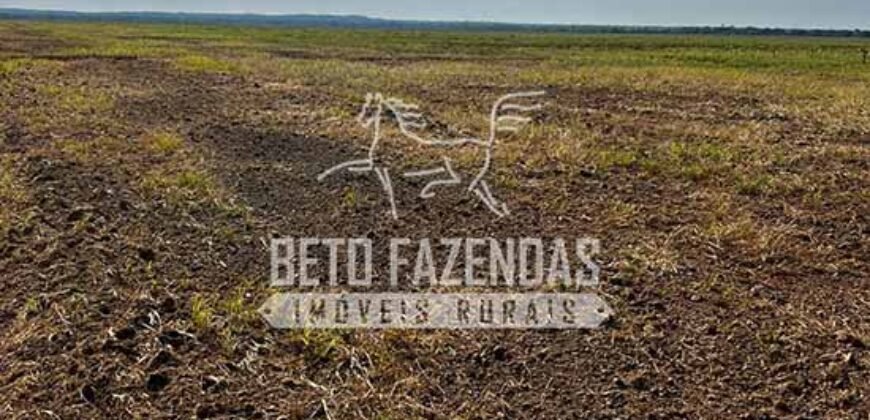 Área Agrícola Extensa e Produtiva à Venda 2.190 hectares | Serra Nova Dourada/MT Área Agrícola Extensa e Produtiva à Venda 2.190 hectares | Serra Nova Dourada/MT
