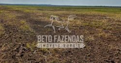 Área Agrícola Extensa e Produtiva à Venda 2.190 hectares | Serra Nova Dourada/MT Área Agrícola Extensa e Produtiva à Venda 2.190 hectares | Serra Nova Dourada/MT